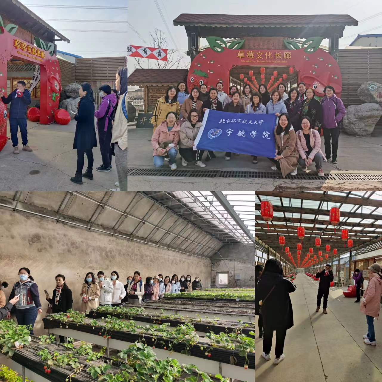 佰富彩采购大厅(welcome)官网